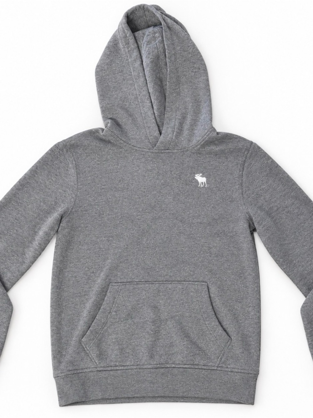 abercrombie kids Gray Hooded Sweatshirt with Logo